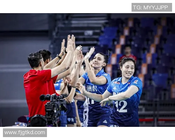 深圳排球队创历史新高排球速度排名再创新高峰